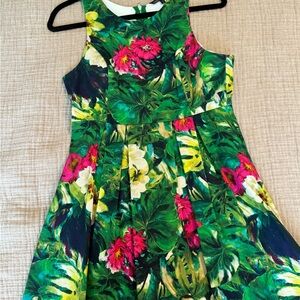 Floral Fit and Flare Mini Dress